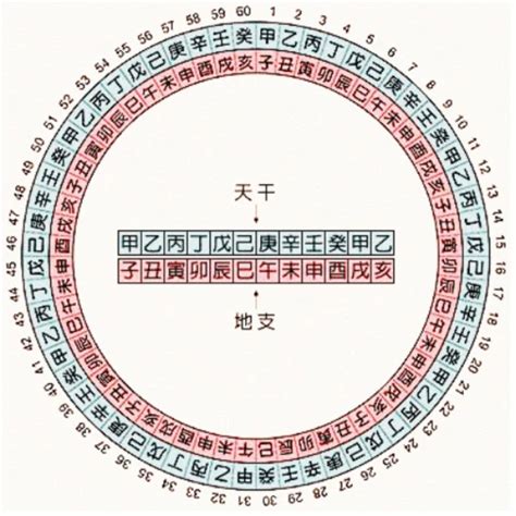 1987天干地支|干支对照表